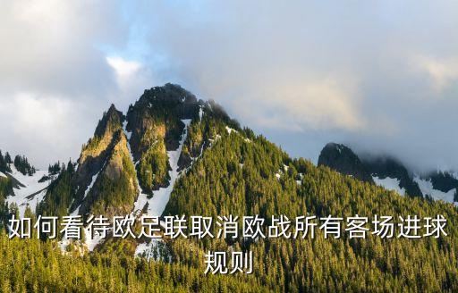 踢功利足球,足球越來越功利