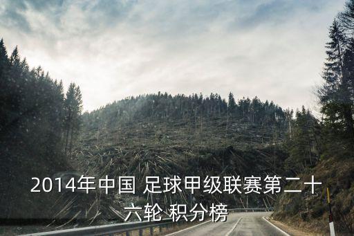 北愛女子足球積分榜