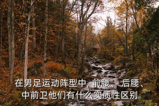 在男足運動陣型中, 前腰、 后腰、中前衛(wèi)他們有什么實質(zhì)性區(qū)別