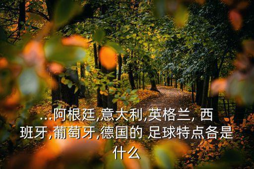 ...阿根廷,意大利,英格蘭, 西班牙,葡萄牙,德國(guó)的 足球特點(diǎn)各是什么