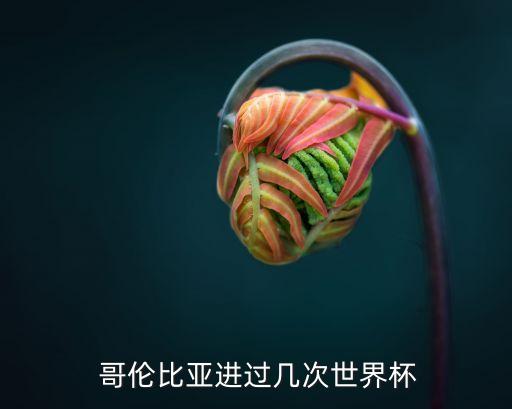  哥倫比亞進(jìn)過幾次世界杯