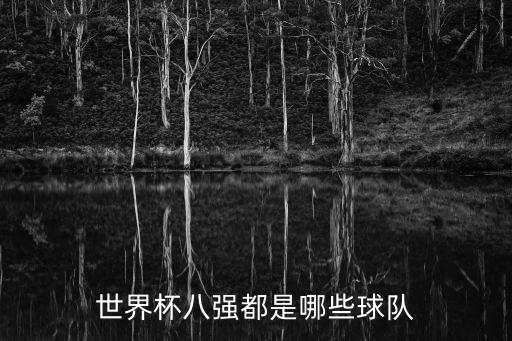 世界杯八強(qiáng)都是哪些球隊