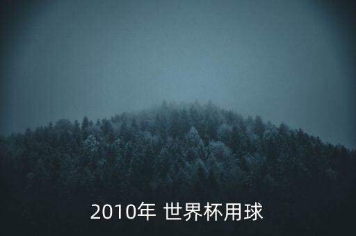 2010年 世界杯用球