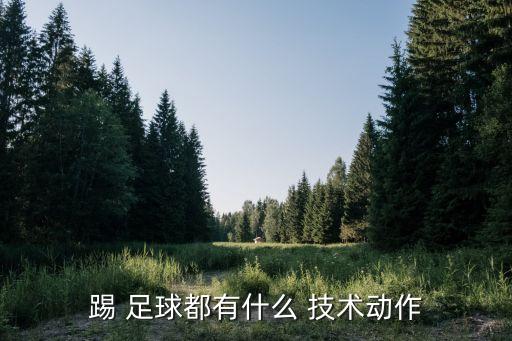 踢 足球都有什么 技術動作