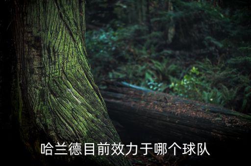哈蘭德目前效力于哪個(gè)球隊(duì)