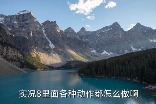  實況8里面各種動作都怎么做啊