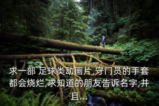 求一部 足球類動畫片,守門員的手套都會燒爛,求知道的朋友告訴名字,并且...