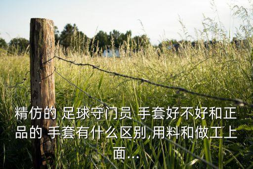 精仿的 足球守門(mén)員 手套好不好和正品的 手套有什么區(qū)別,用料和做工上面...