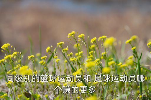 同級別的籃球運動員和 足球運動員哪個賺的更多
