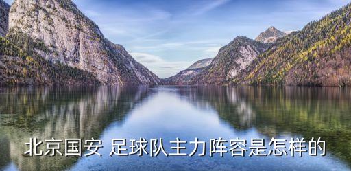 北京國(guó)安 足球隊(duì)主力陣容是怎樣的
