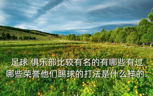  足球 俱樂部比較有名的有哪些有過哪些榮譽(yù)他們踢球的打法是什么樣的...