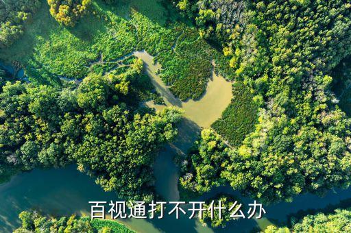  百視通打不開什么辦