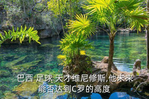 巴西六歲天才足球,巴西出過(guò)哪些天才足球運(yùn)動(dòng)員