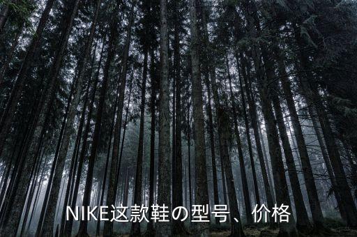 NIKE這款鞋の型號、價格