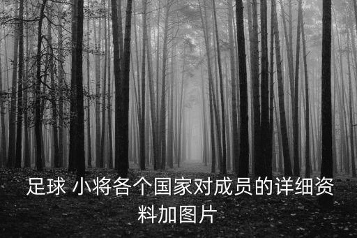  足球 小將各個國家對成員的詳細(xì)資料加圖片