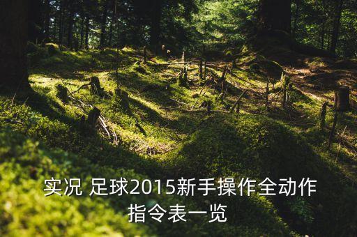  實(shí)況 足球2015新手操作全動作指令表一覽