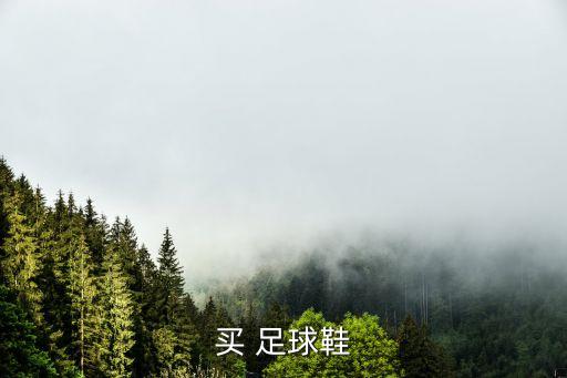 買(mǎi) 足球鞋