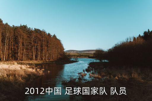2012中國 足球國家隊(duì) 隊(duì)員