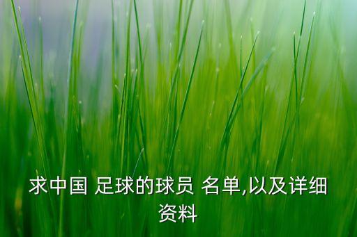 求中國 足球的球員 名單,以及詳細(xì)資料