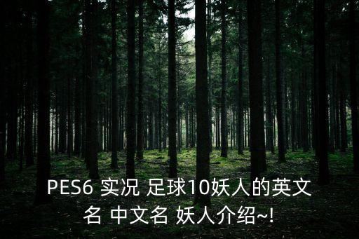 PES6 實(shí)況 足球10妖人的英文名 中文名 妖人介紹~!