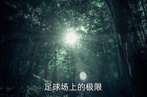 足球場(chǎng)上的極限