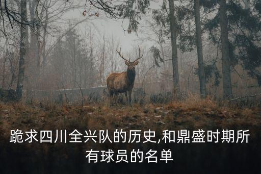 成都勁浪老友足球隊(duì)
