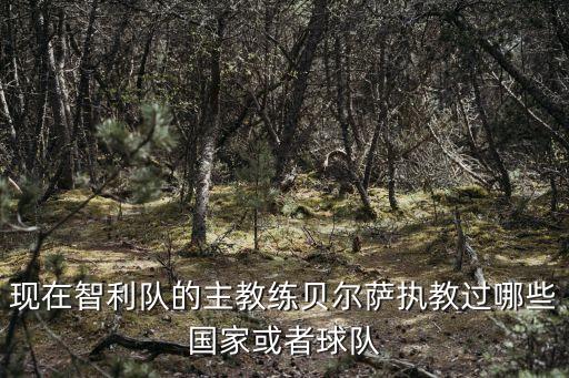現(xiàn)在智利隊(duì)的主教練貝爾薩執(zhí)教過哪些國家或者球隊(duì)
