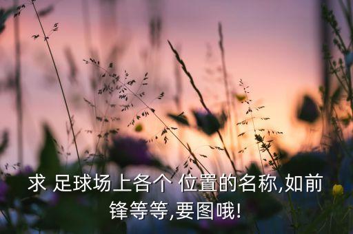 足球哪個位置圖解,足球位置介紹圖解 職責(zé)
