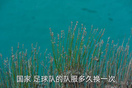國家 足球隊(duì)的隊(duì)服多久換一次