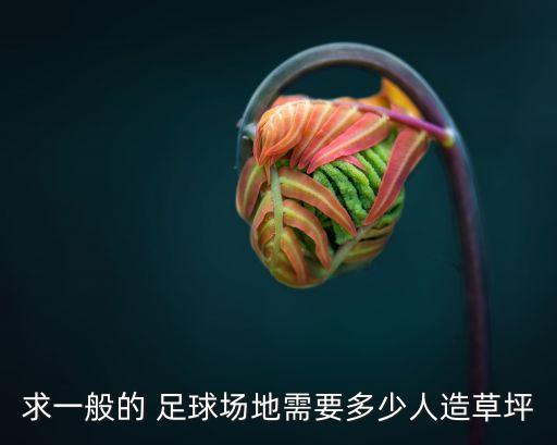 求一般的 足球場地需要多少人造草坪