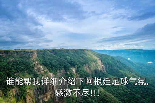 誰能幫我詳細(xì)介紹下阿根廷足球氣氛,感激不盡!!!