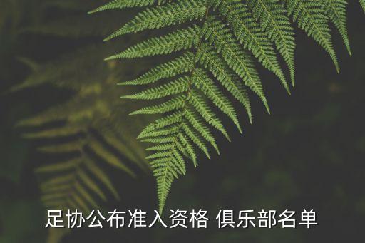 足協(xié)公布準(zhǔn)入資格 俱樂部名單