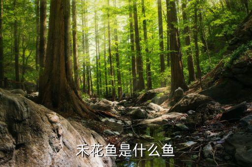 禾花魚(yú)是什么魚(yú)