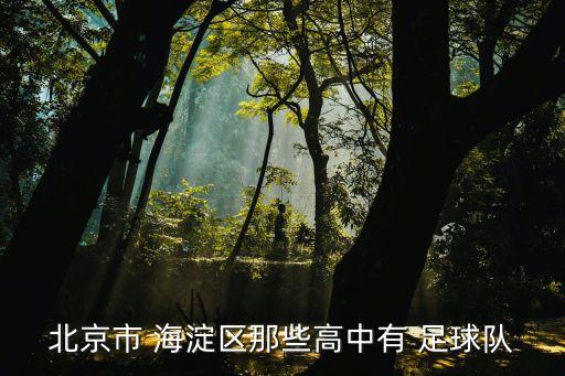 北京市 海淀區(qū)那些高中有 足球隊