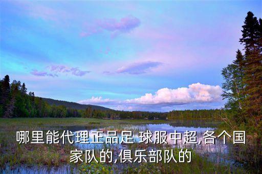 哪里能代理正品足 球服中超,各個國家隊(duì)的,俱樂部隊(duì)的
