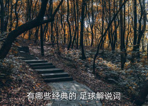有哪些經(jīng)典的 足球解說(shuō)詞