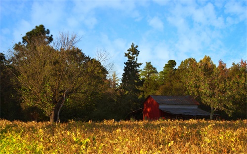 哈德斯菲爾德和曼聯(lián)哪個(gè)強(qiáng),香川真司加盟曼聯(lián)但曼聯(lián)陣容比較強(qiáng)