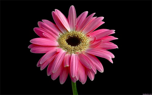 越南對菲律賓哪個(gè)臺(tái)直播,杜特爾特上臺(tái)以來也玩弄大國平衡手段